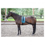 Harry's Horse longeerband elastisch