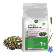 Vitalbix Breed & Grow 20kg